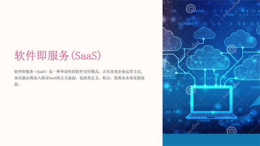 软件即服务software as a service